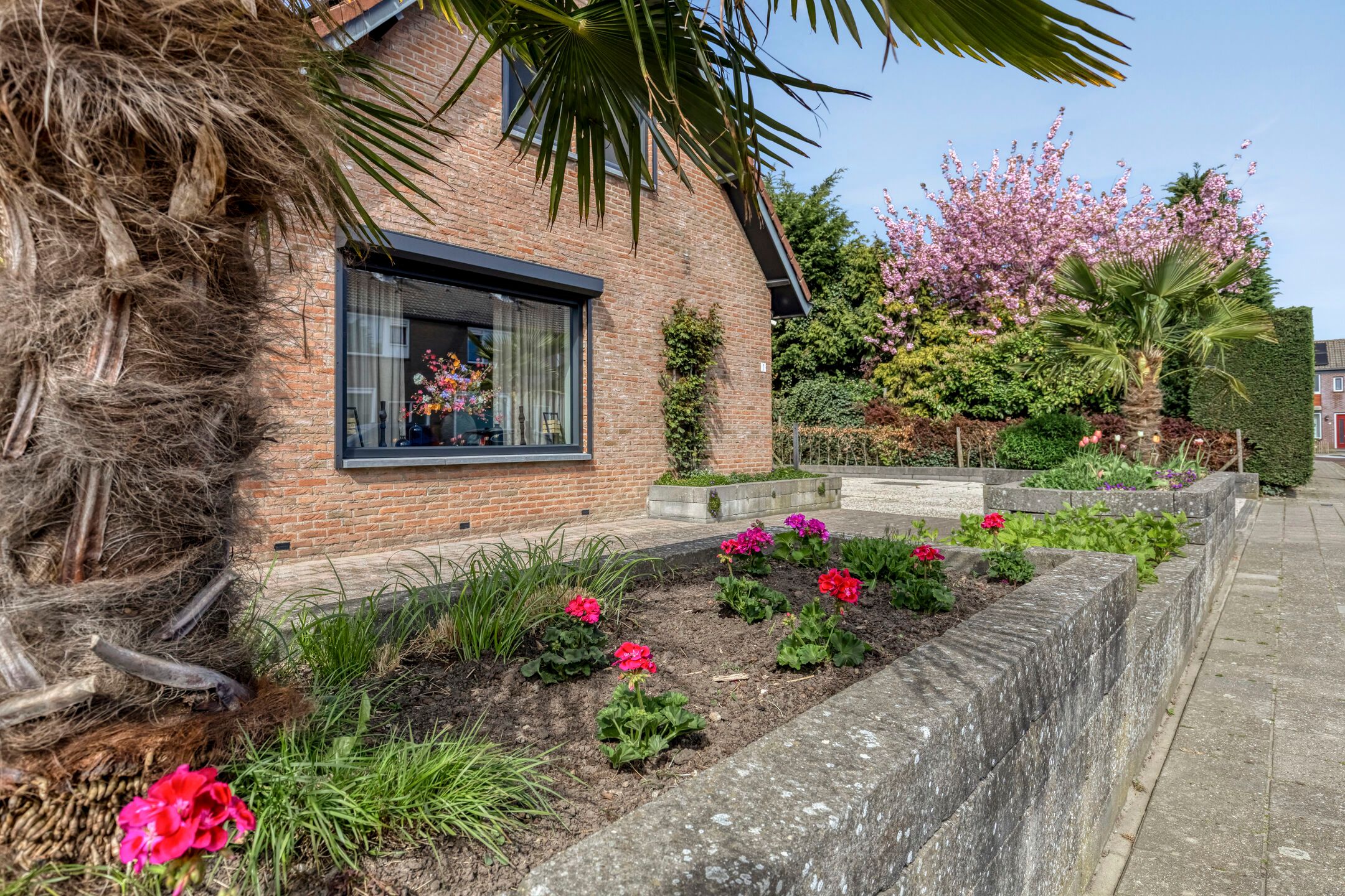 Foto 66 van Magnolialaan 1