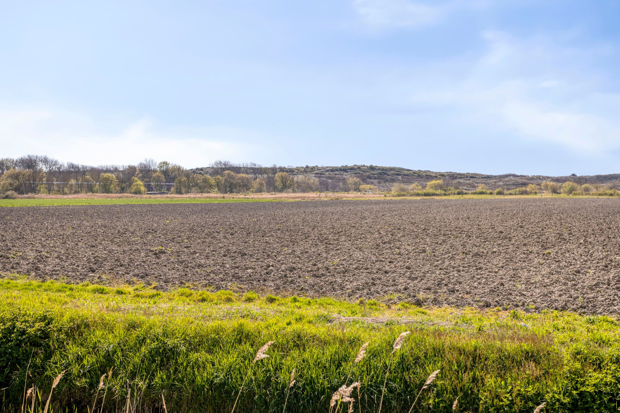 Foto 48 van Verdilaan 91