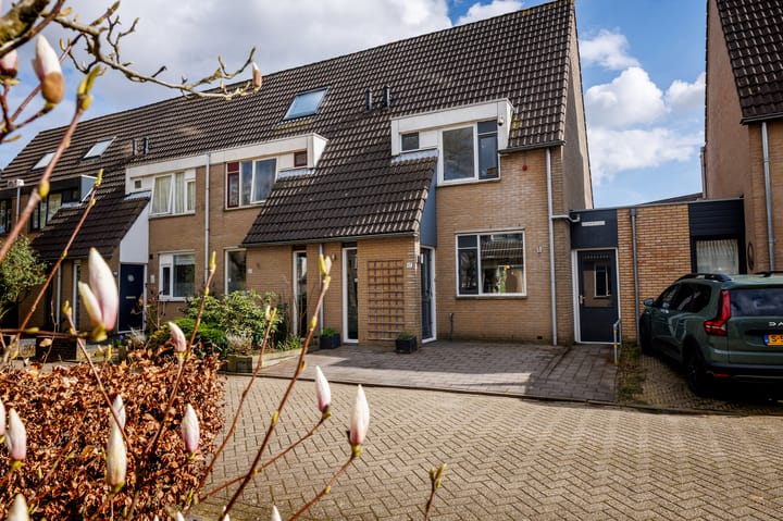 Ganzerik 47 main image