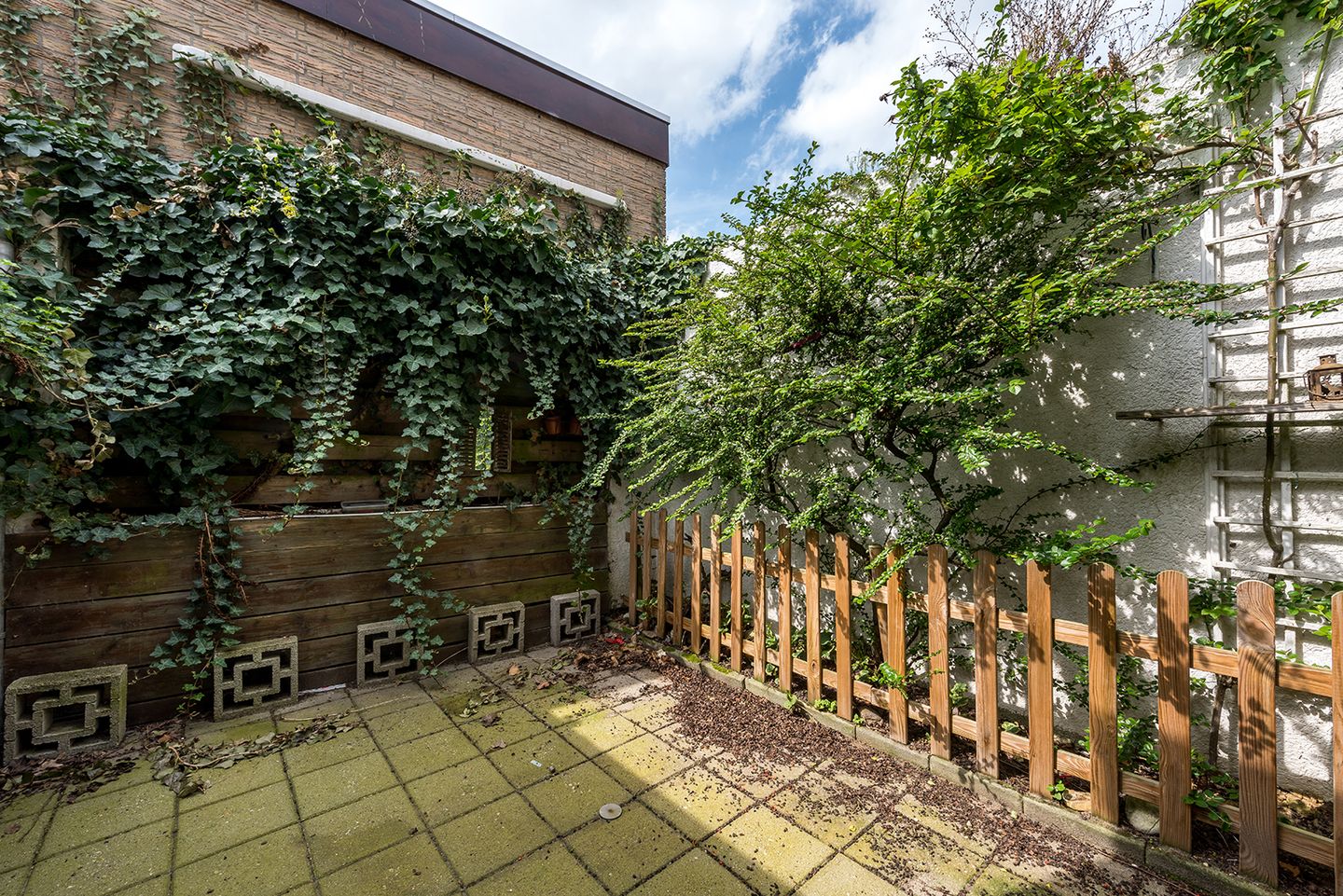 Photo 20 of Wilhelminastraat 52