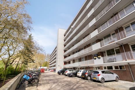 Cederstraat thumbnail