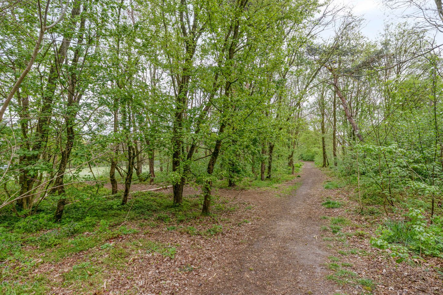 Foto 50 van Kennemerland 22