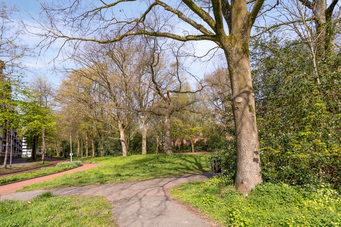 Foto 34 van Cederstraat 93