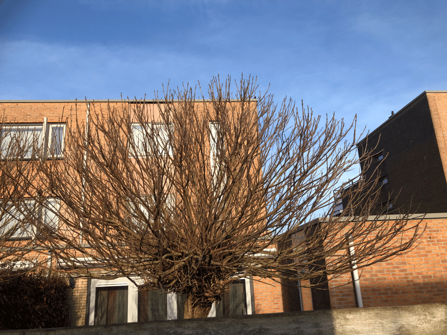 Foto 4 van Moerasmeer 46