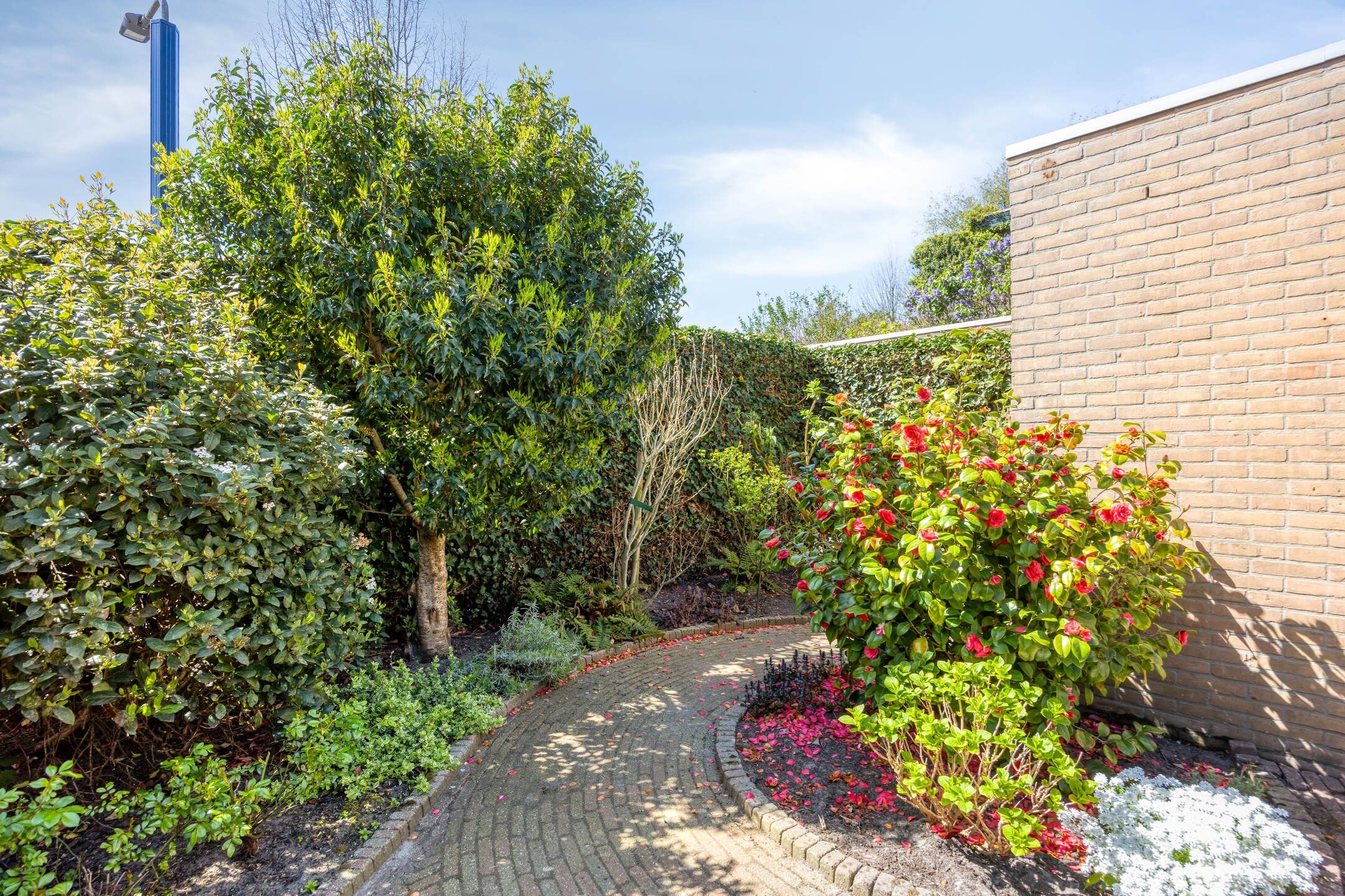 Foto 12 van Mauritsstraat 10