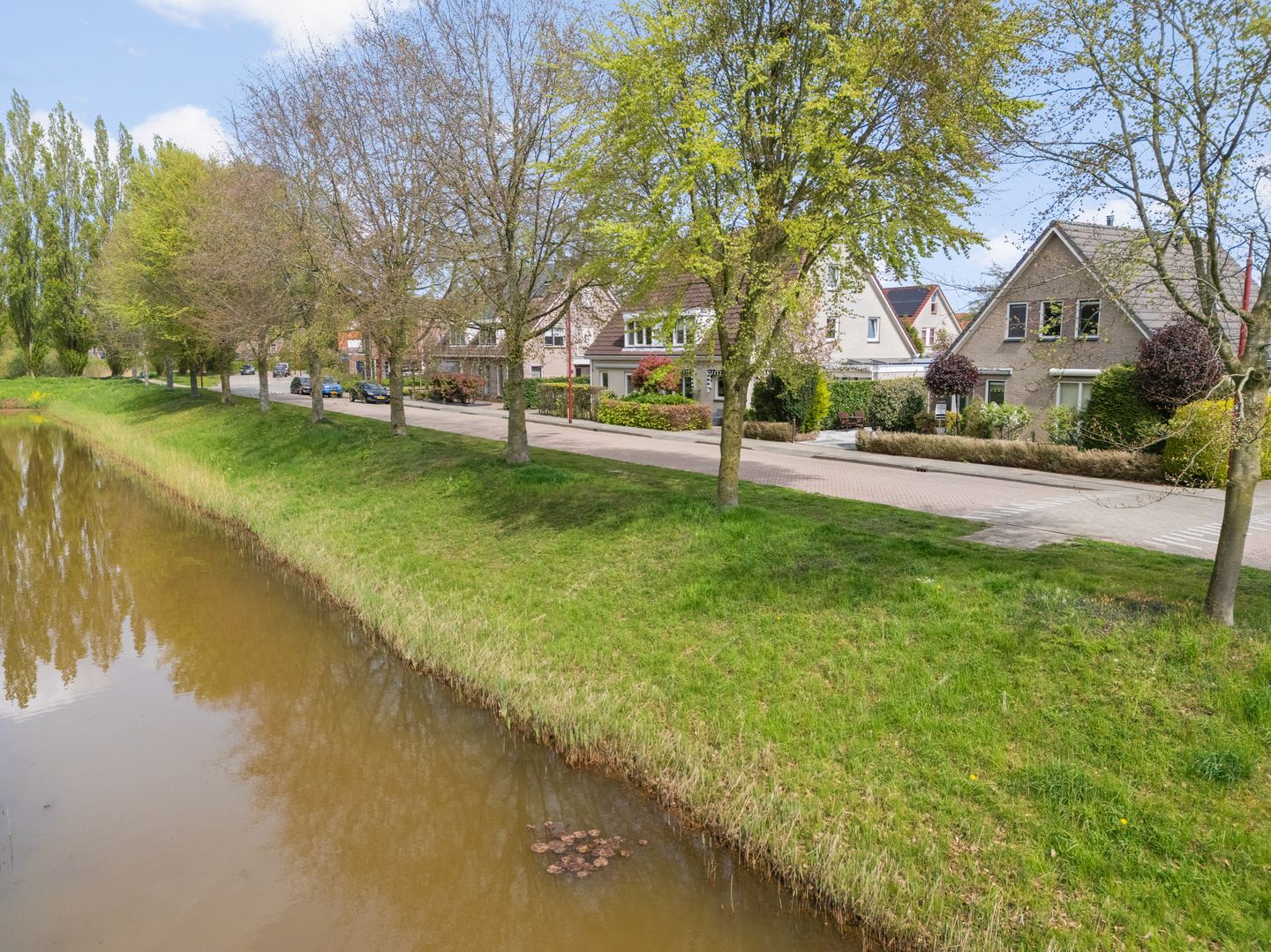 Foto 35 van Lucas van Leydenhage 9