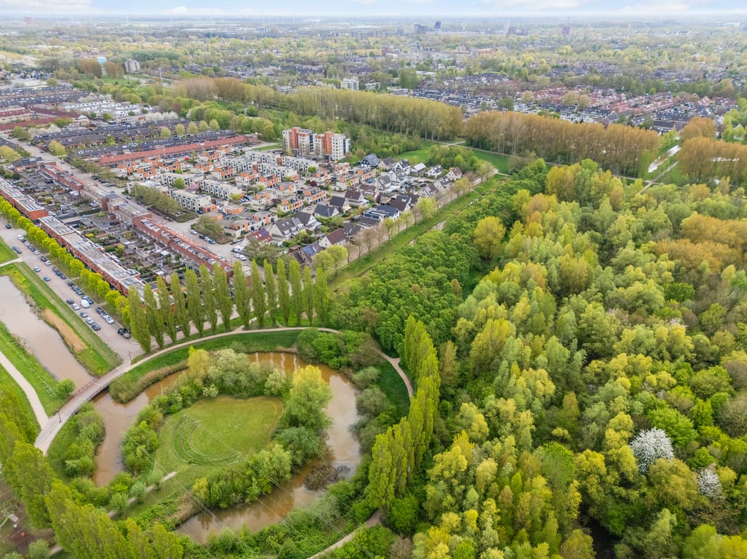 Foto 38 van Lucas van Leydenhage 9