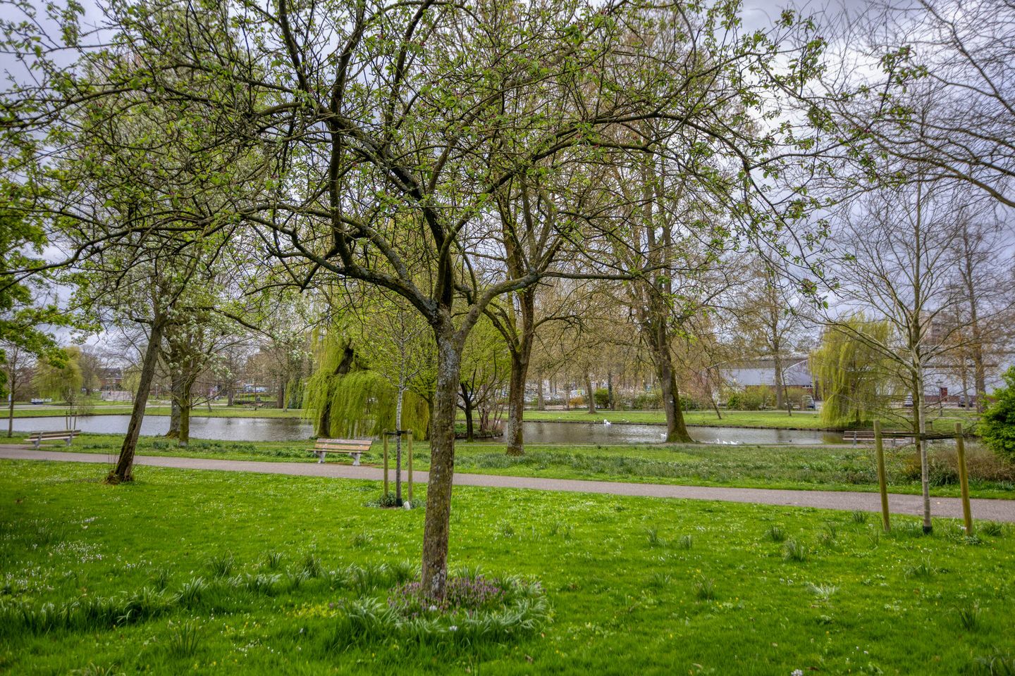 Foto 44 van Cellebroedersweg 6