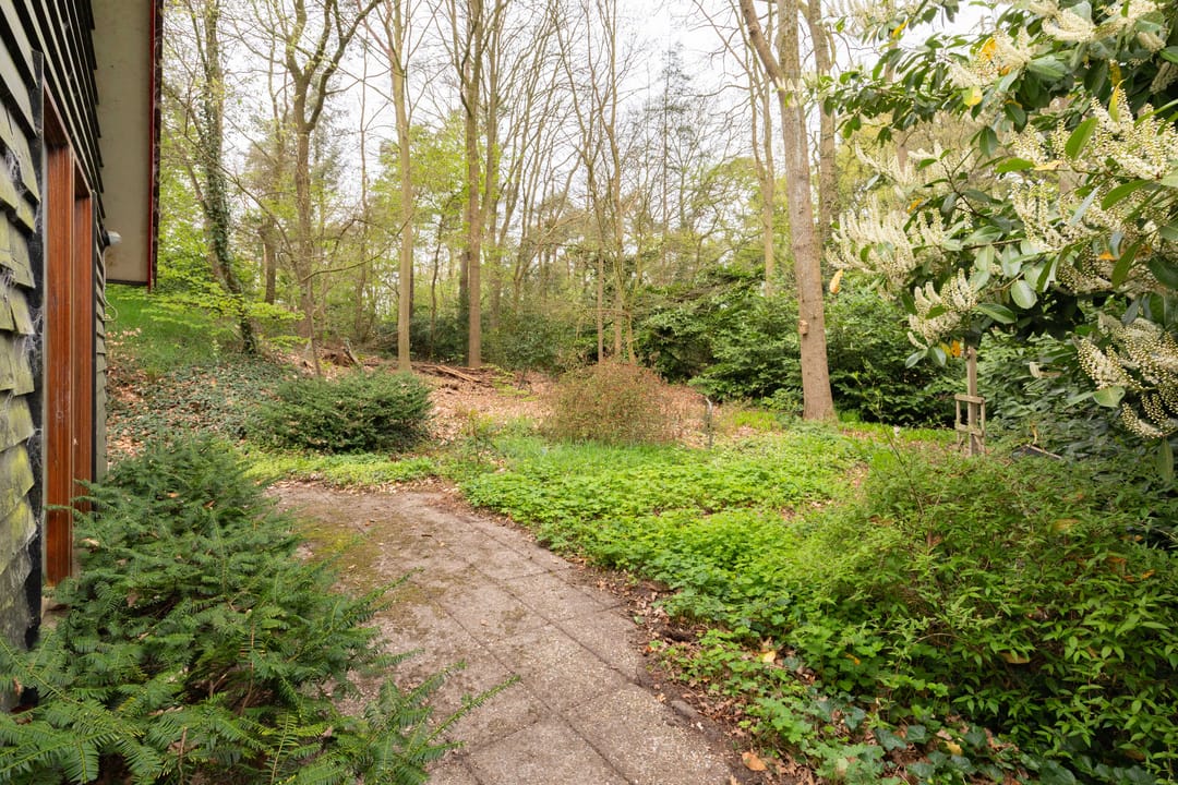 Foto 17 van Looweg 10-33