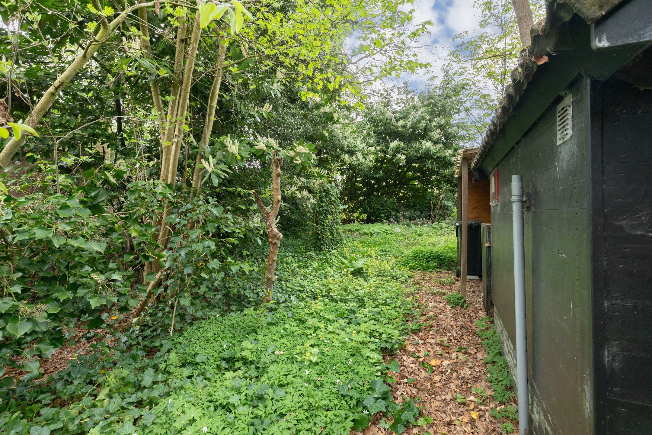 Foto 18 van Looweg 10-33