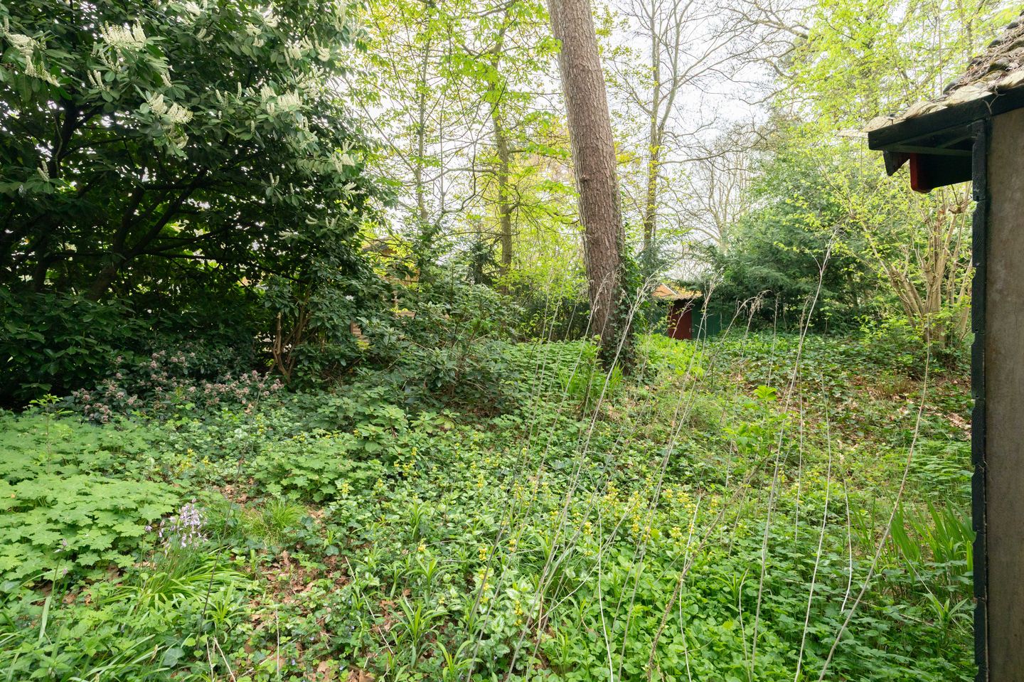 Foto 19 van Looweg 10-33