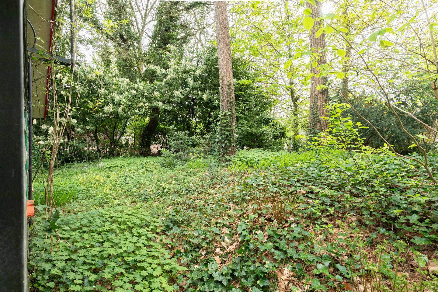 Foto 20 van Looweg 10-33