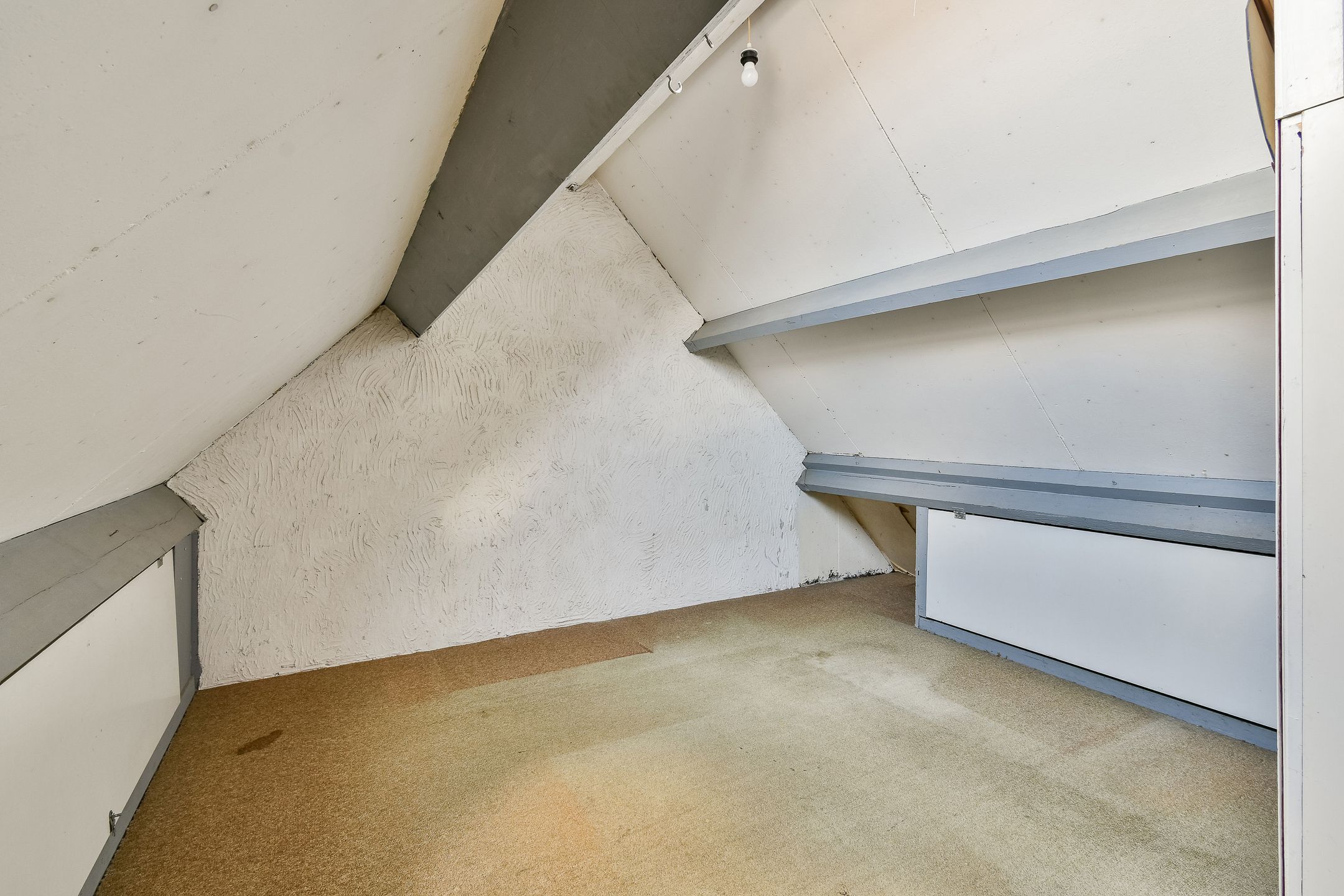 Foto 18 van Karperveen 252