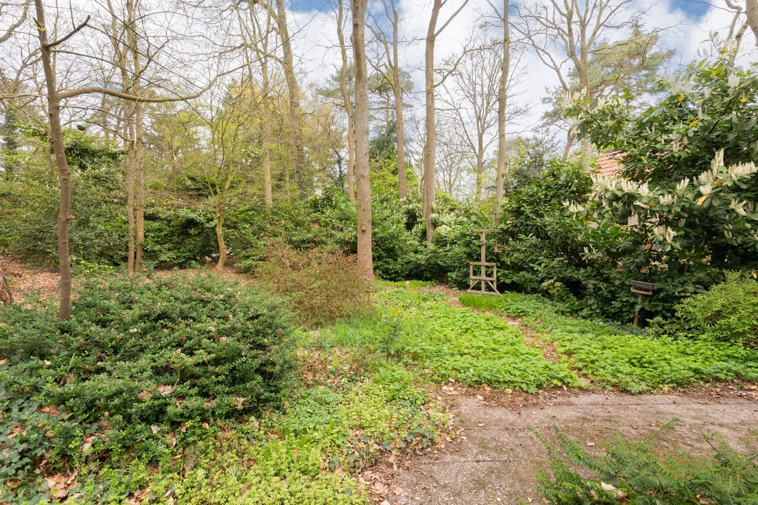 Foto 16 van Looweg 10-33