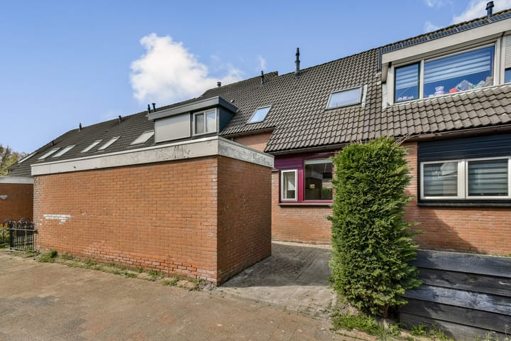 Karperveen 252
