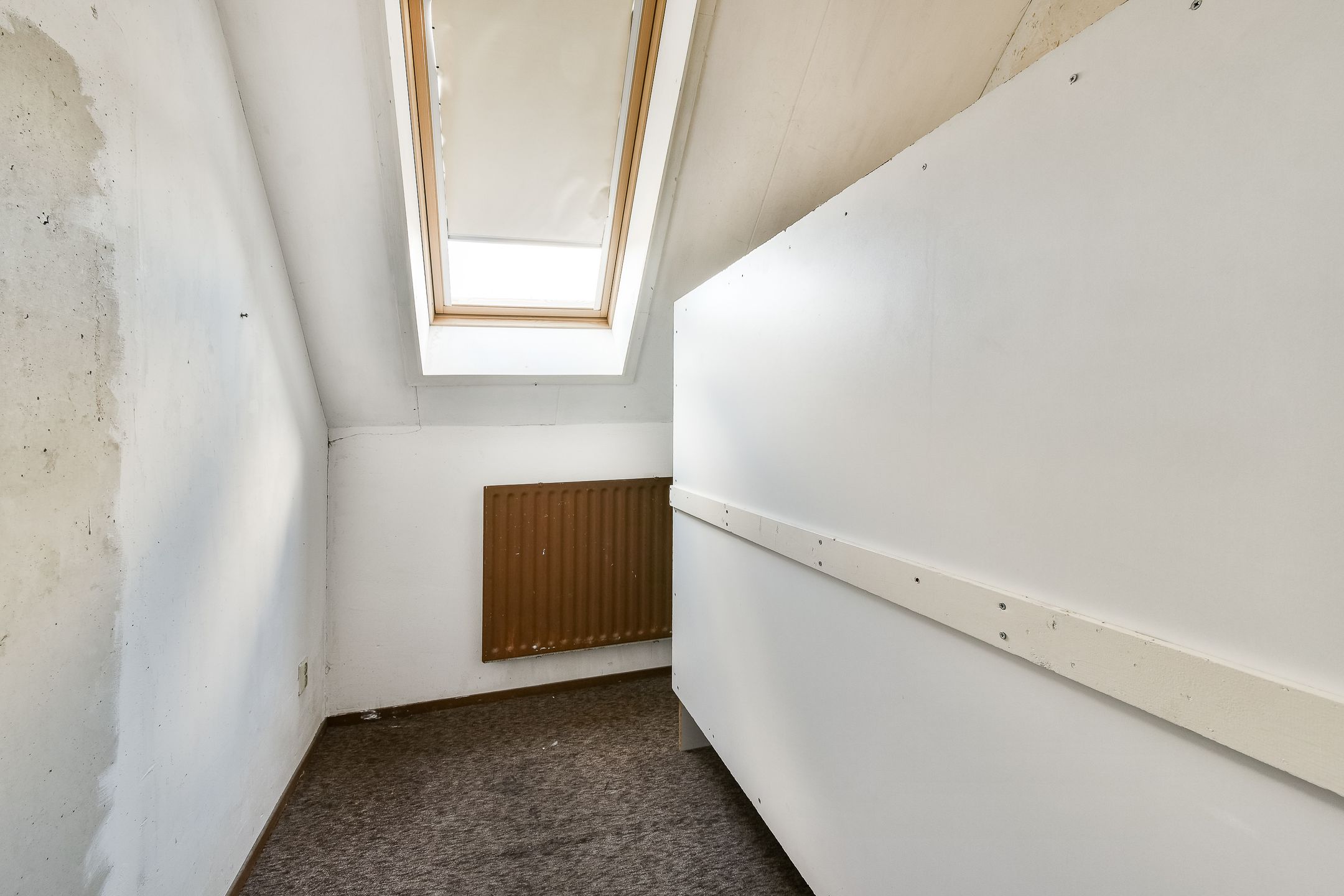 Foto 15 van Karperveen 252