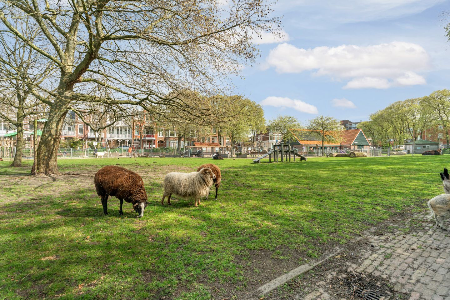 Foto 50 van Soetensstraat 34