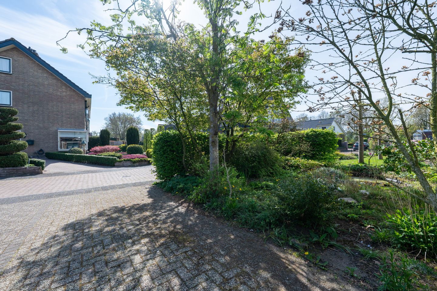 Photo 5 of Kinsiusstraat 26