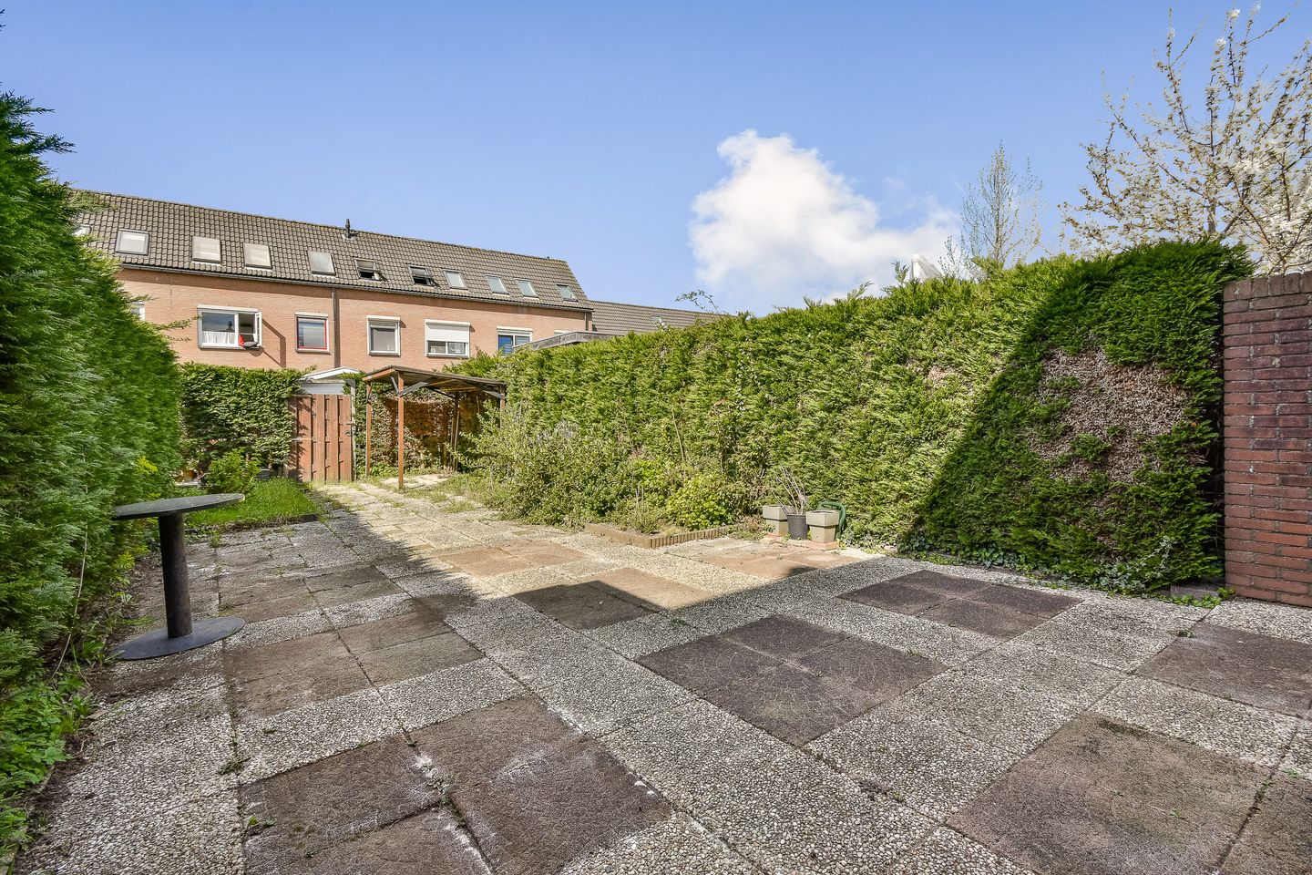 Foto 5 van Karperveen 252