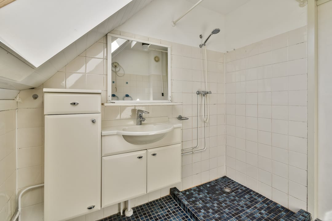 Foto 17 van Karperveen 252