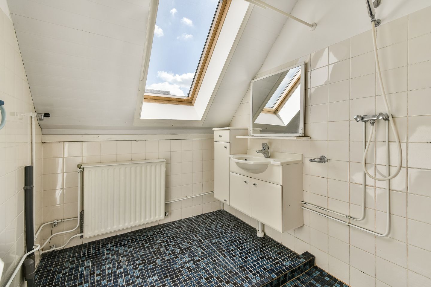 Foto 4 van Karperveen 252