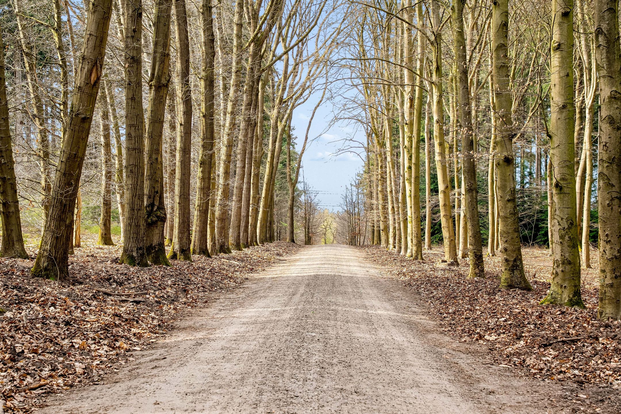 Foto 39 van Hessenweg 89