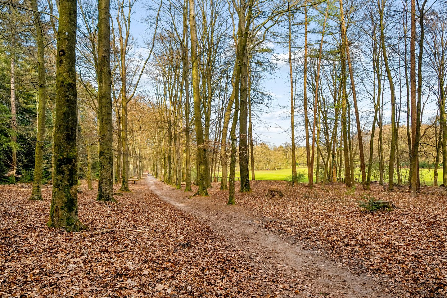 Foto 40 van Hessenweg 89