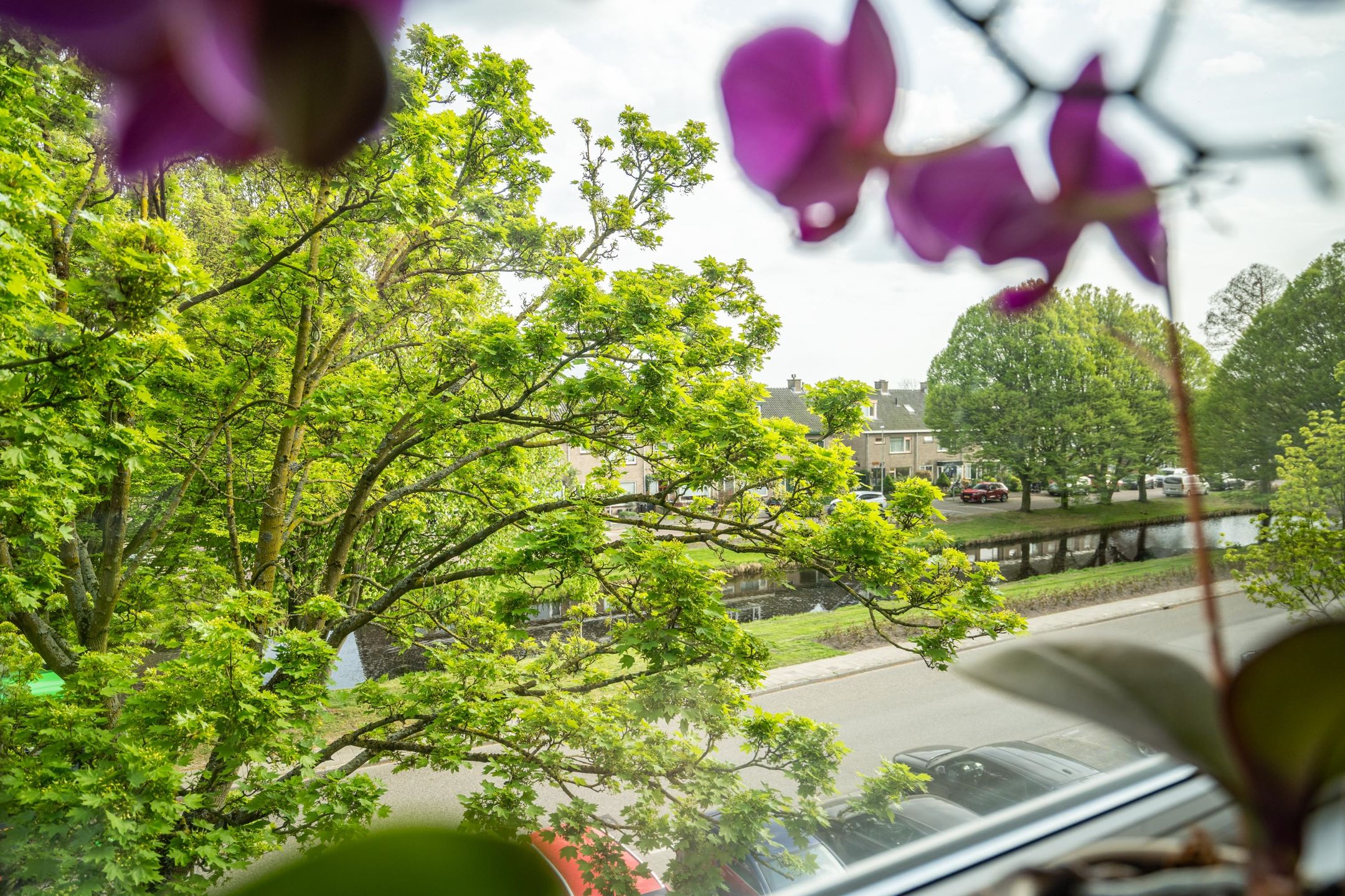 Foto 12 van Laan van Ouderzorg 157