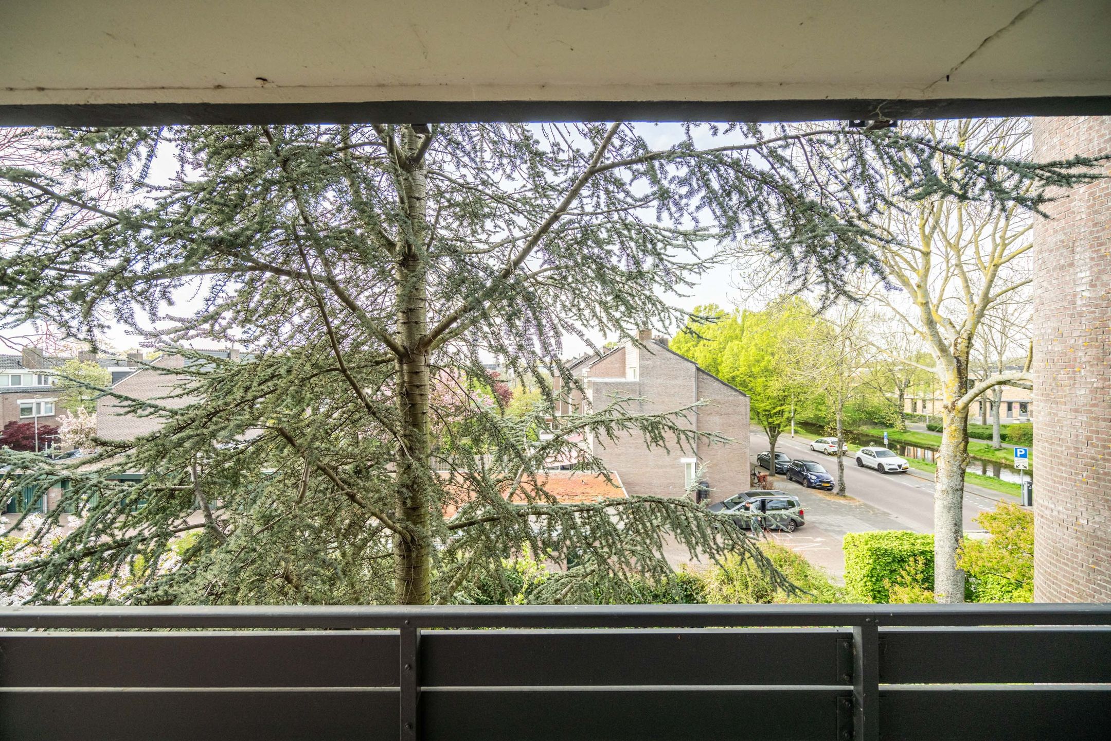 Foto 42 van Laan van Ouderzorg 157