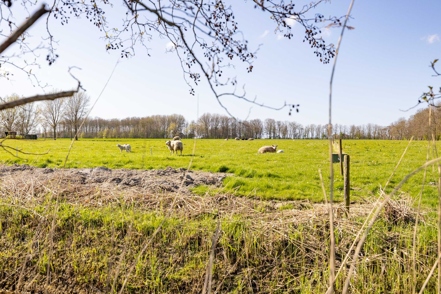 Foto 44 van It Binnenpaad 8