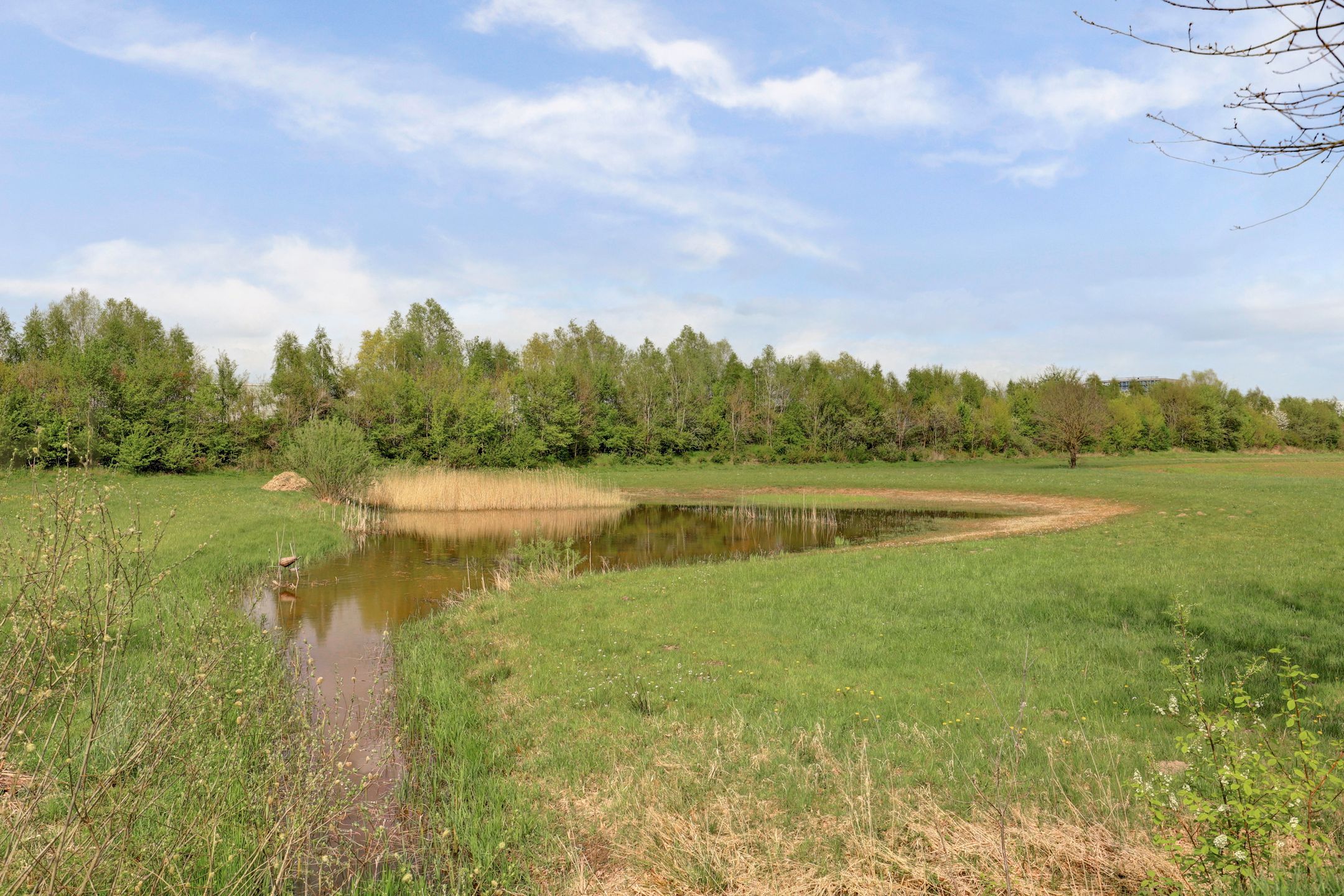 Foto 39 van Kassenberg 3