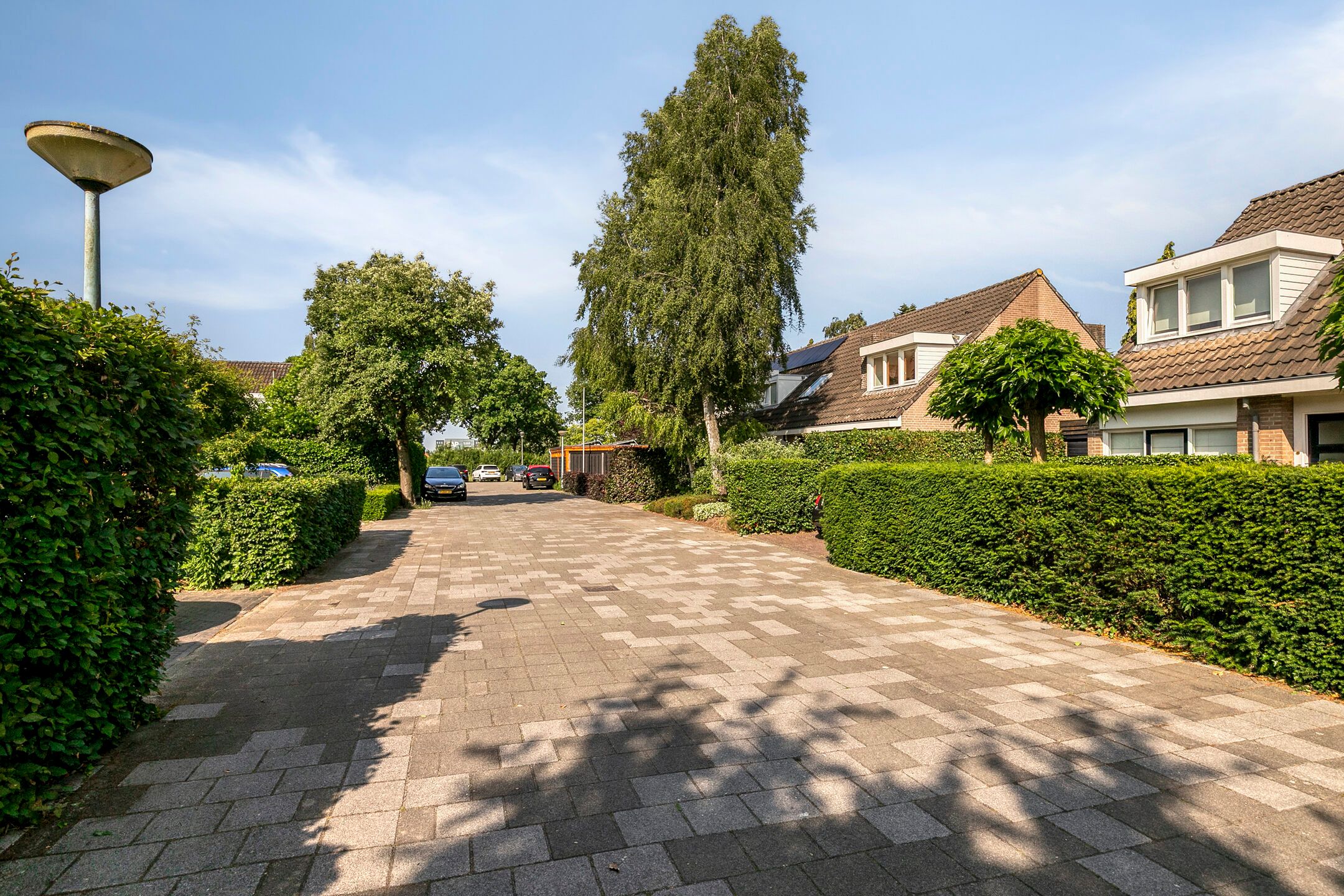 Foto 42 van Irisstraat 5