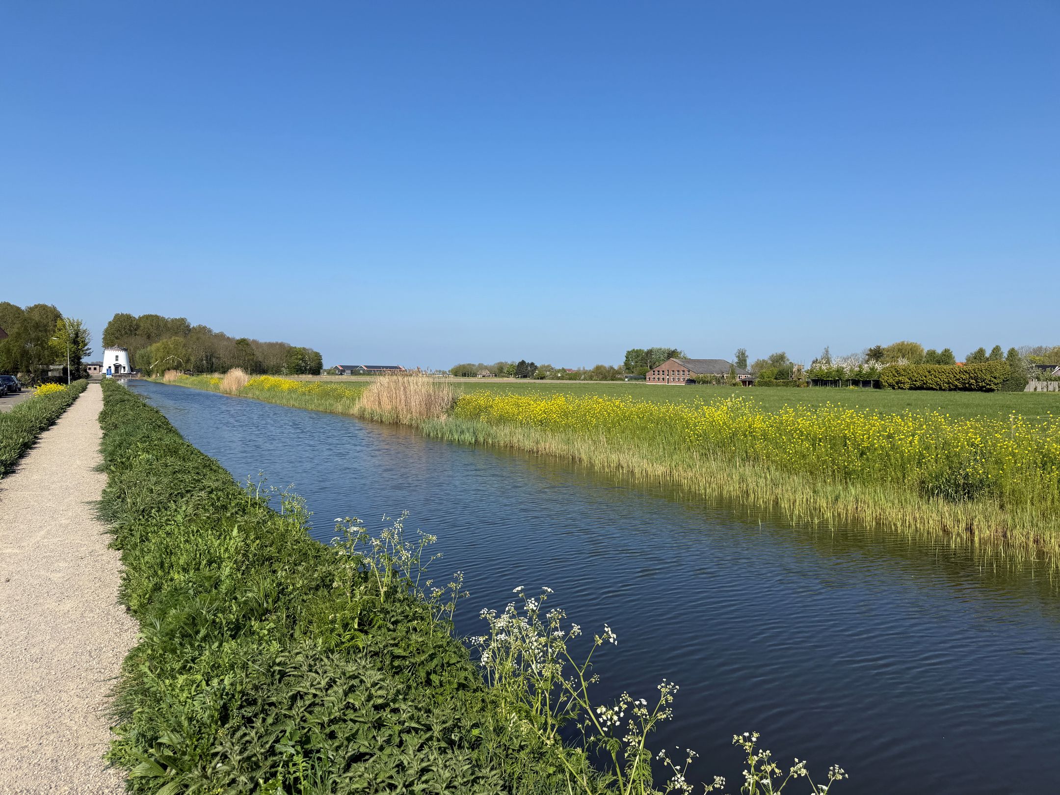 Photo 6 of Bloemendaal 1