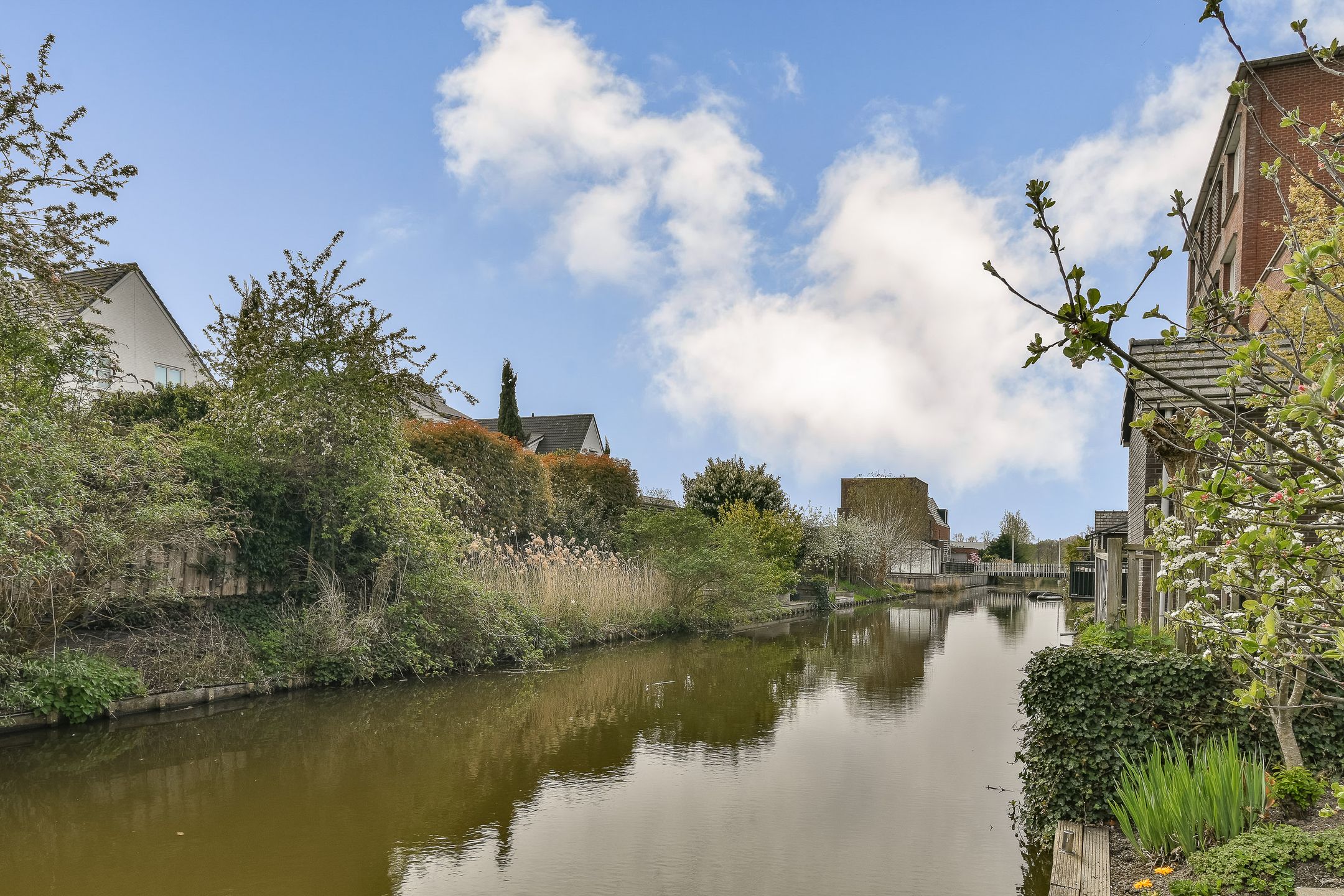 Foto 36 van Van der Duijn van Maasdamweg 512