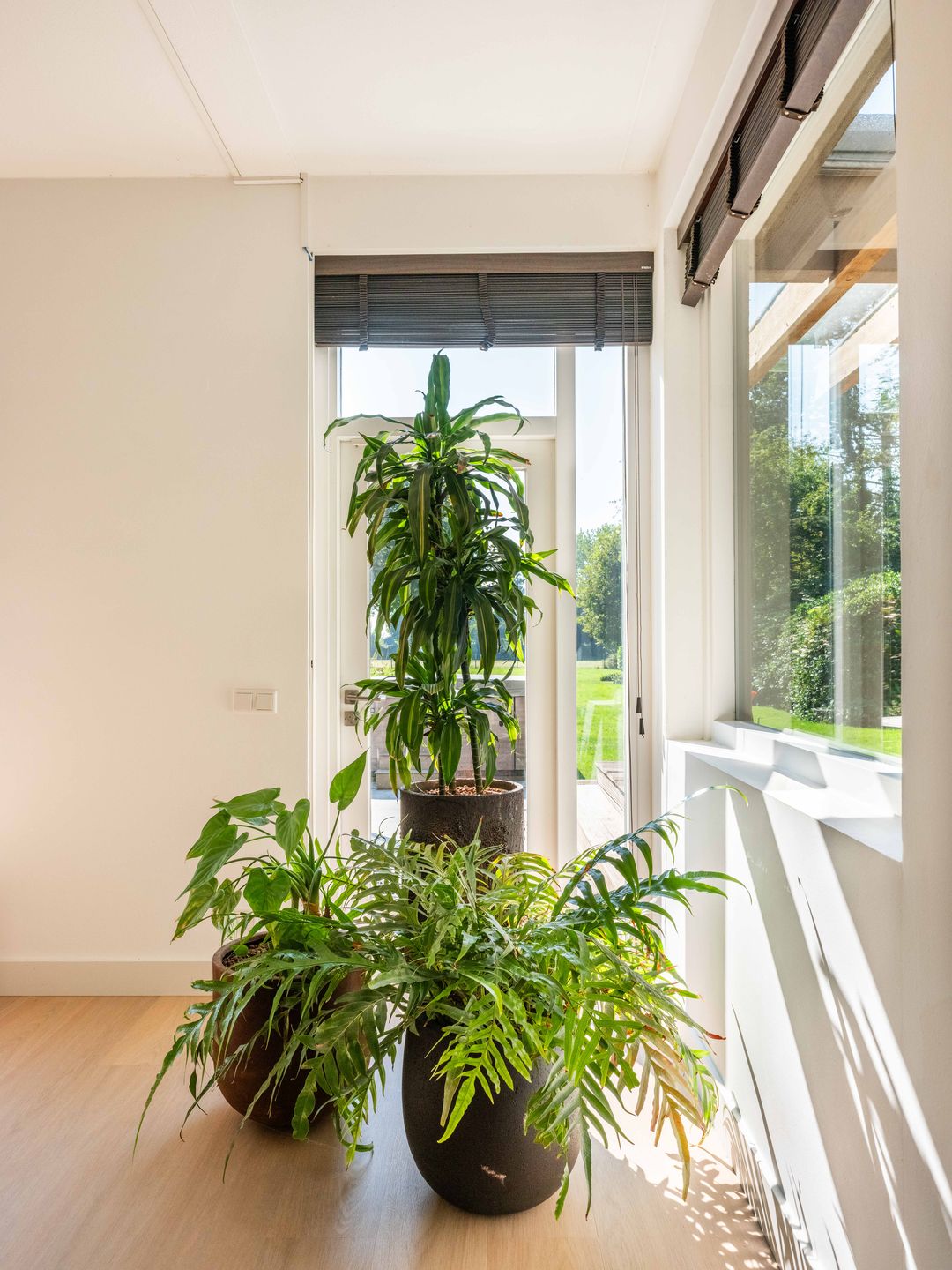 Foto 13 van Buerweg 15