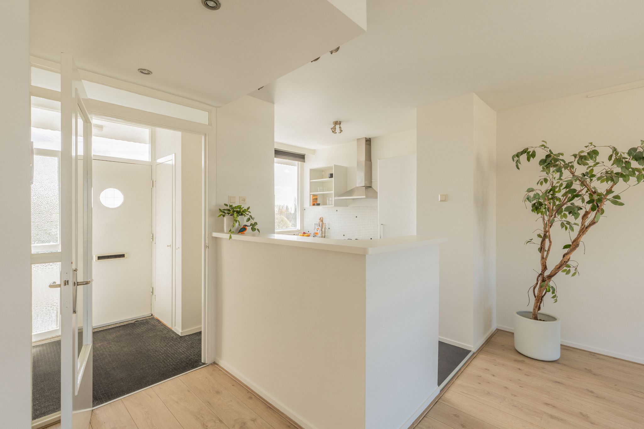 Foto 3 van Sint Philipsland 129