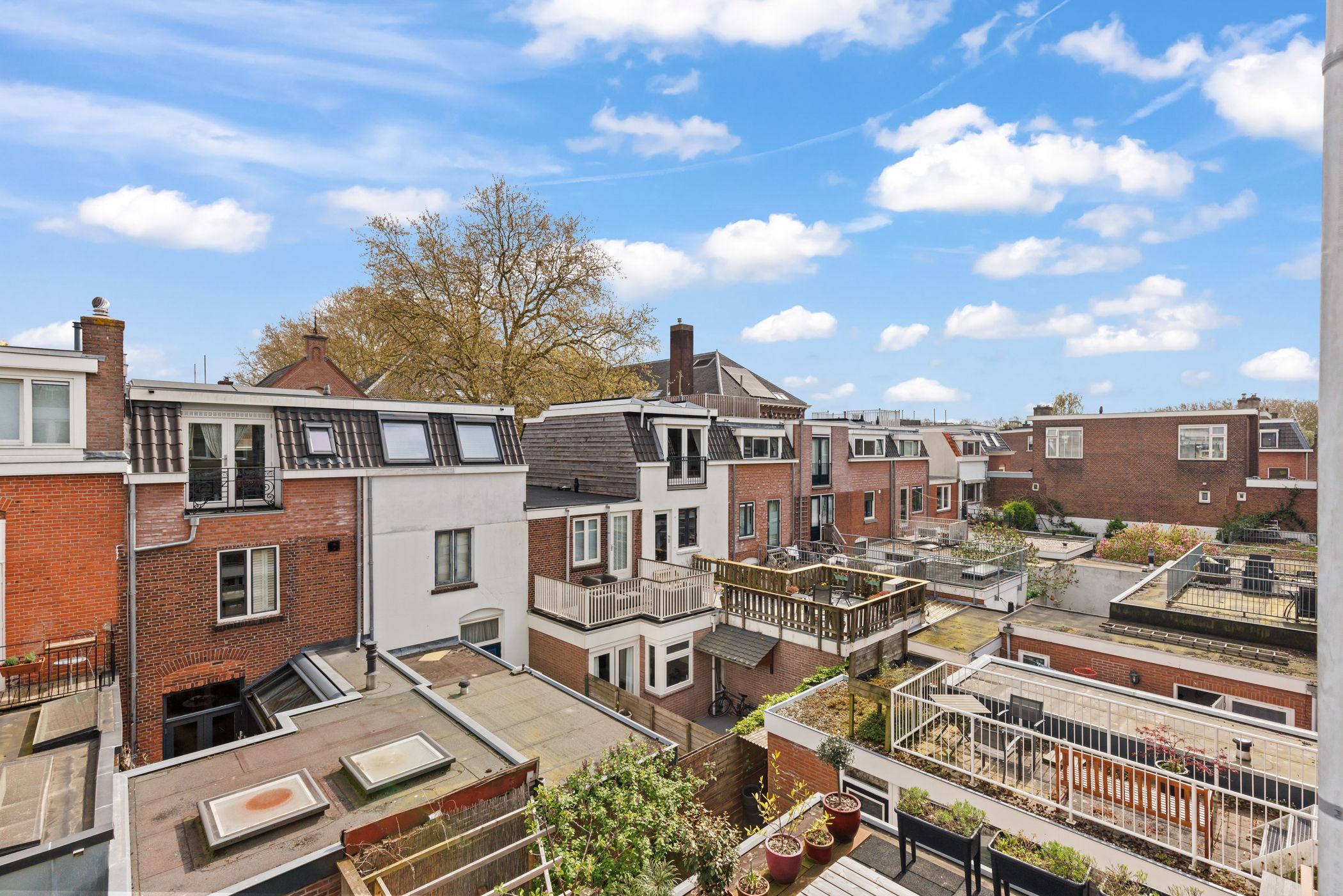 Foto 12 van Hopakker 79-B