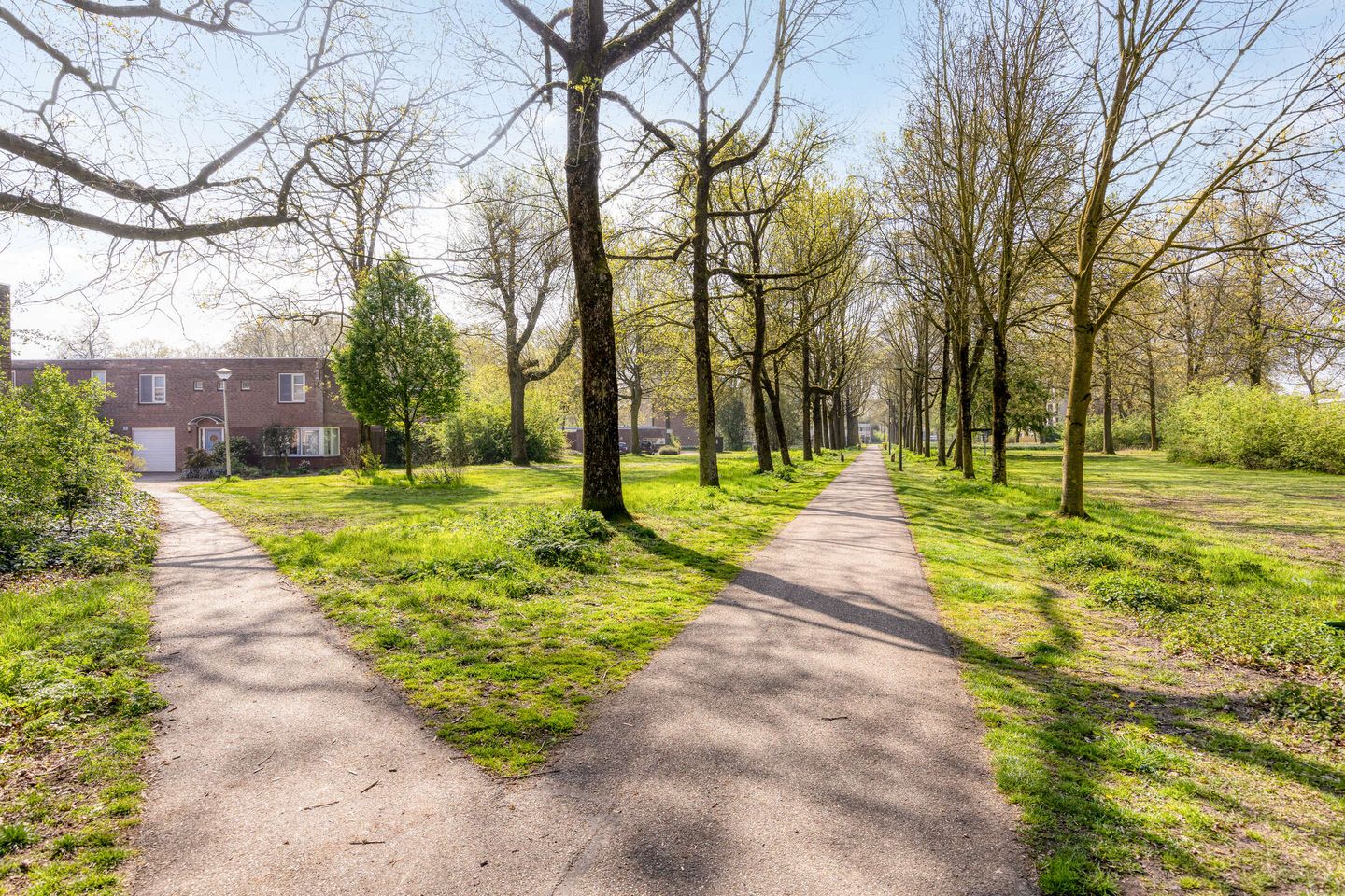 Foto 44 van 't Peppelplantsoen 12