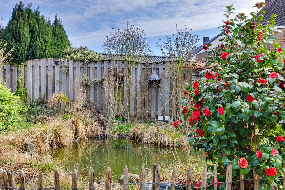 Foto 47 van Weebosserweg 12