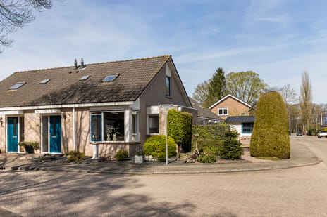 undefined main image