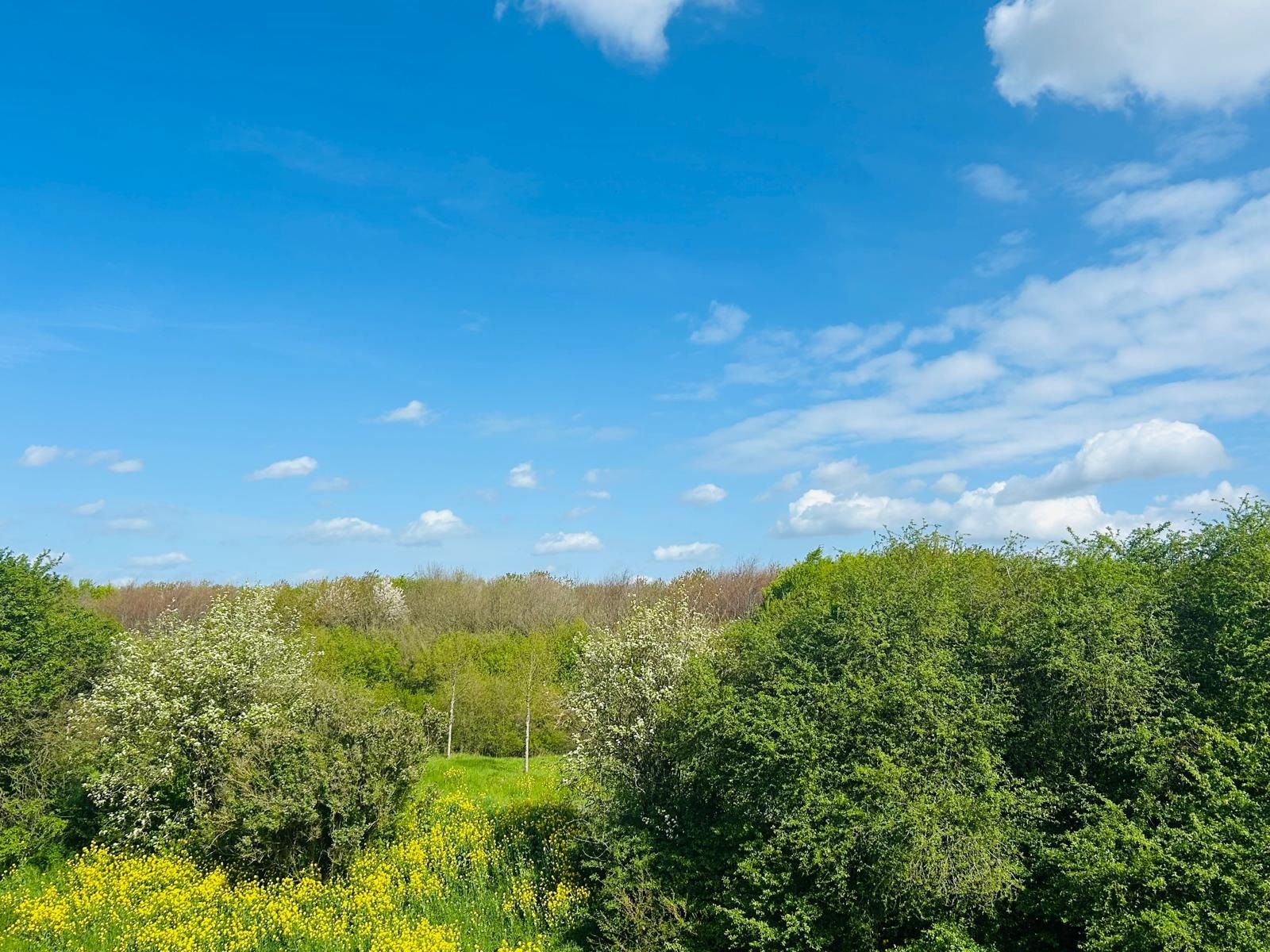 Foto 27 van Blieksloot 48