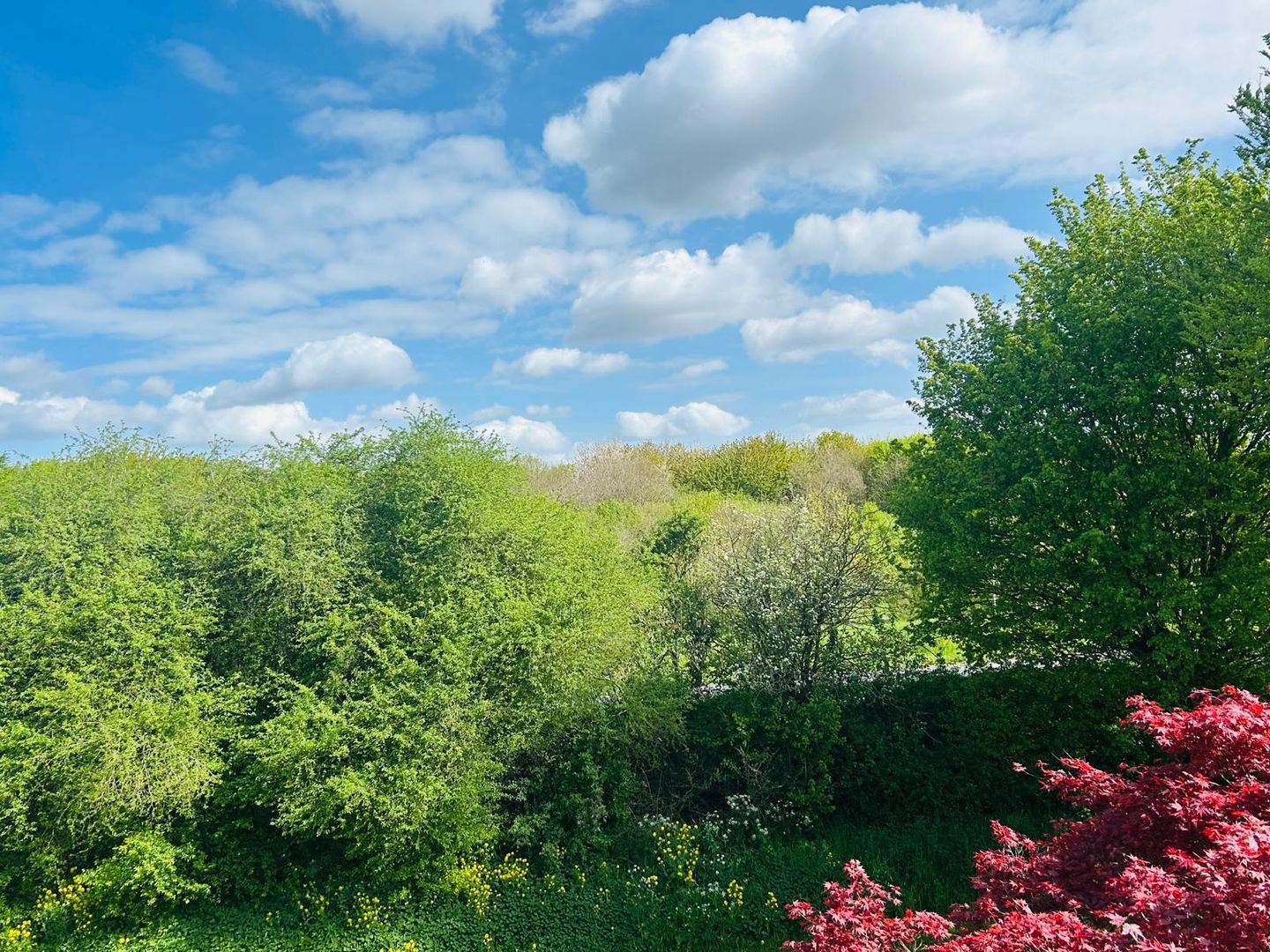 Foto 34 van Blieksloot 48