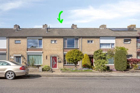 undefined main image