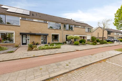 Van Hogendorplaan thumbnail