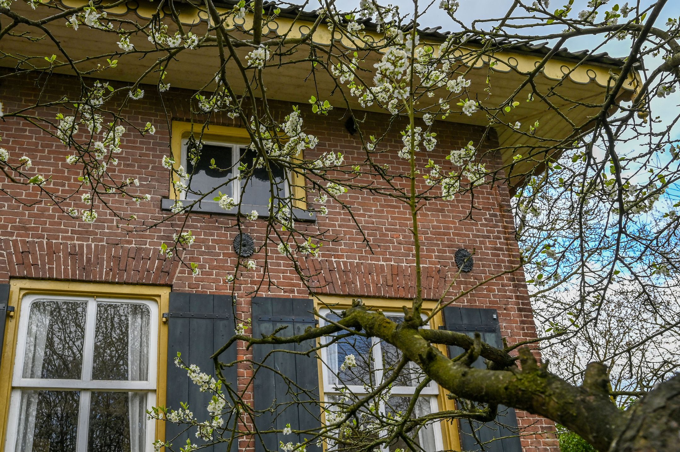 Foto 21 van Tempelstraat 2