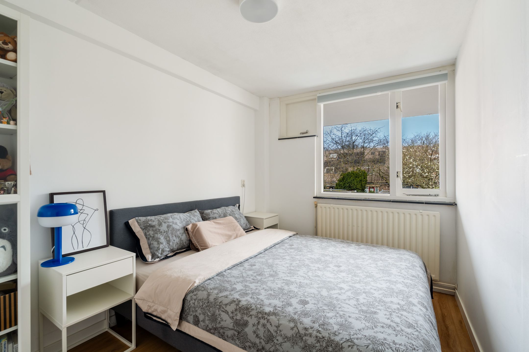 Foto 30 van Albert Schweitzerlaan 215