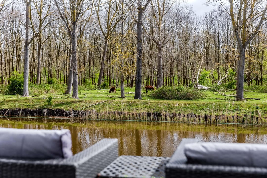 Photo 32 of Zuiderweg 2-R0078