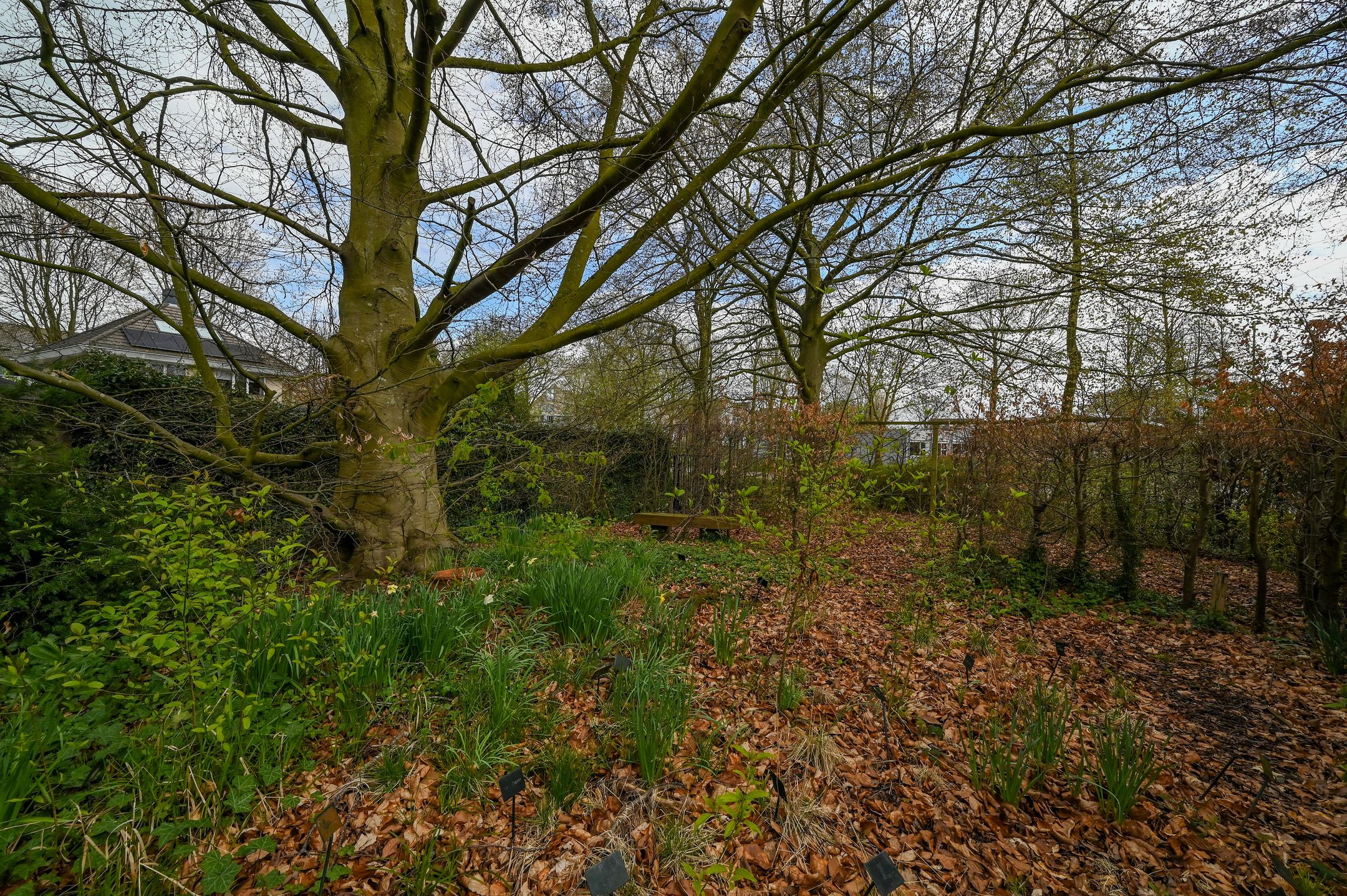 Foto 39 van Tempelstraat 2