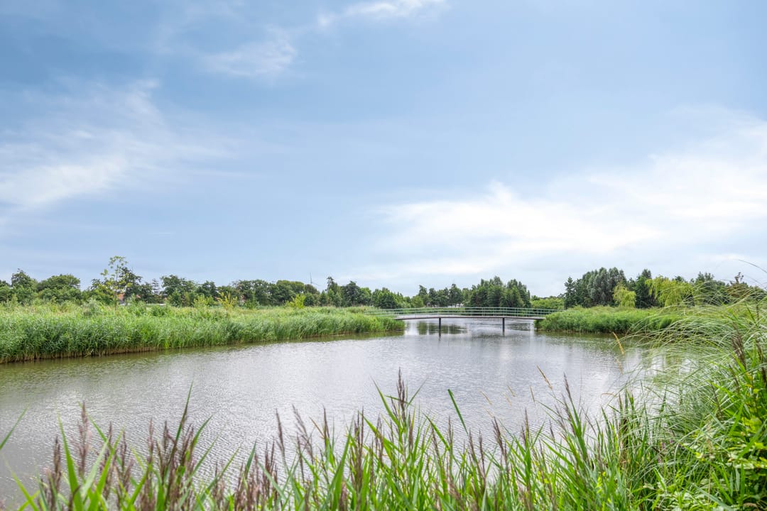 Foto 62 van Reijersgroet 18