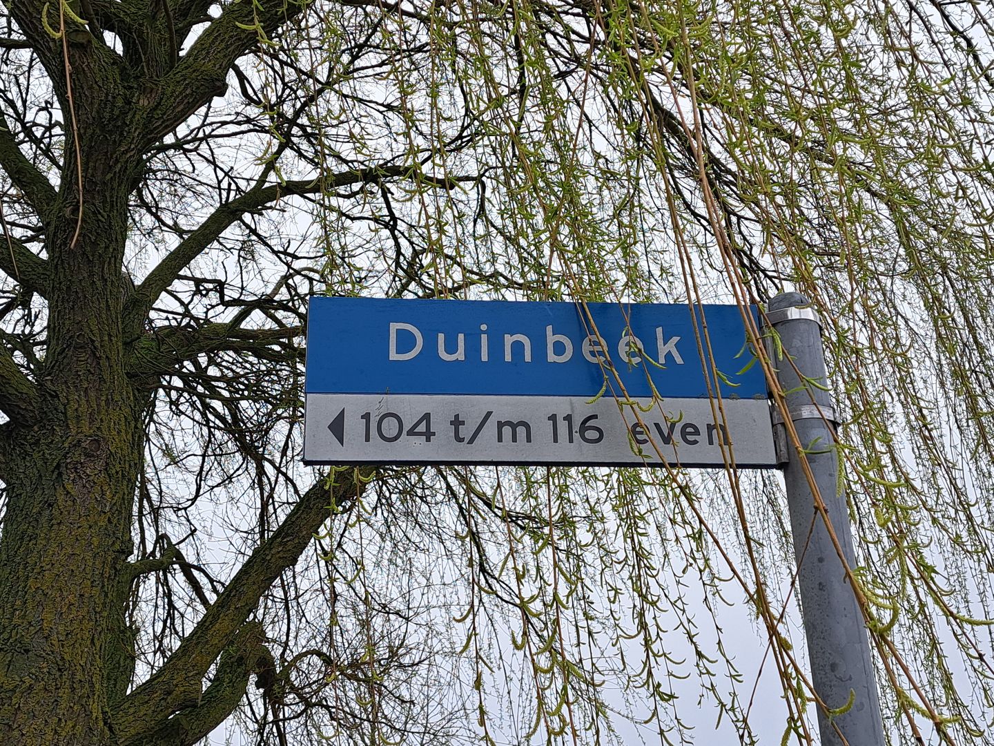 Foto 5 van Duinbeek 104